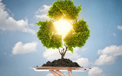 Modeli finansiranja energetske tranzicije u Bosni i Hercegovini