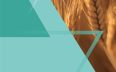 Smjernice za prilagođavanje klimatskim promjenama u poljoprivrednom sektoru