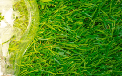 Vodič za održivu energetsku tranziciju u Bosni i Hercegovini