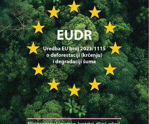 Vodič za EUDR 6 roba bez drveta