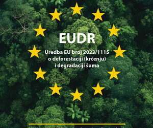 Vodič za EUDR Drvo